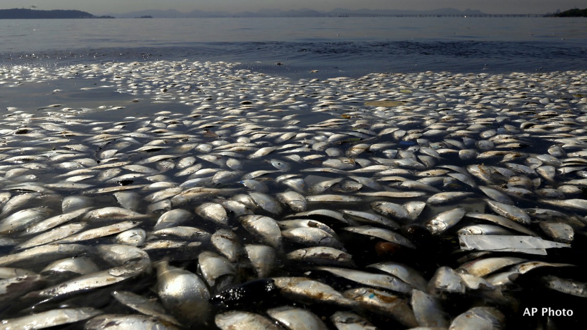 Dirty Water