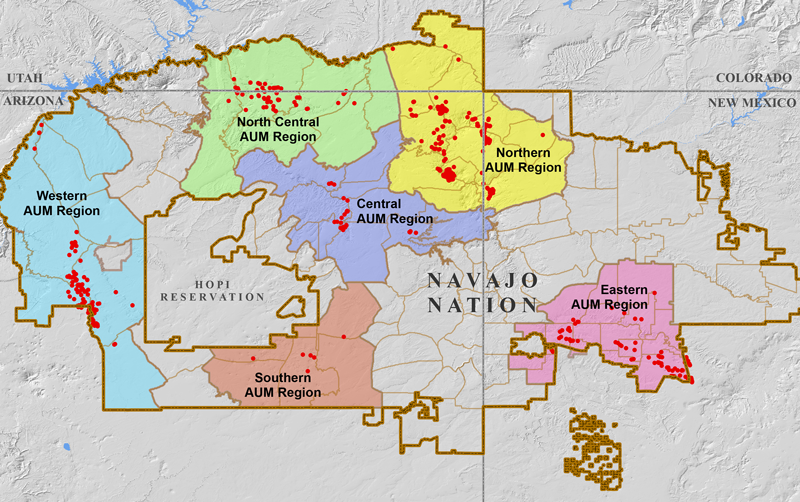 Uranium mining occurred in six major areas of the Navajo Nation, now designated as AUM (abandoned uranium mine) Regions. This map indicates the 521 sites mapped by the EPA, but there are estimated to be hundreds more. (Source: EPA)