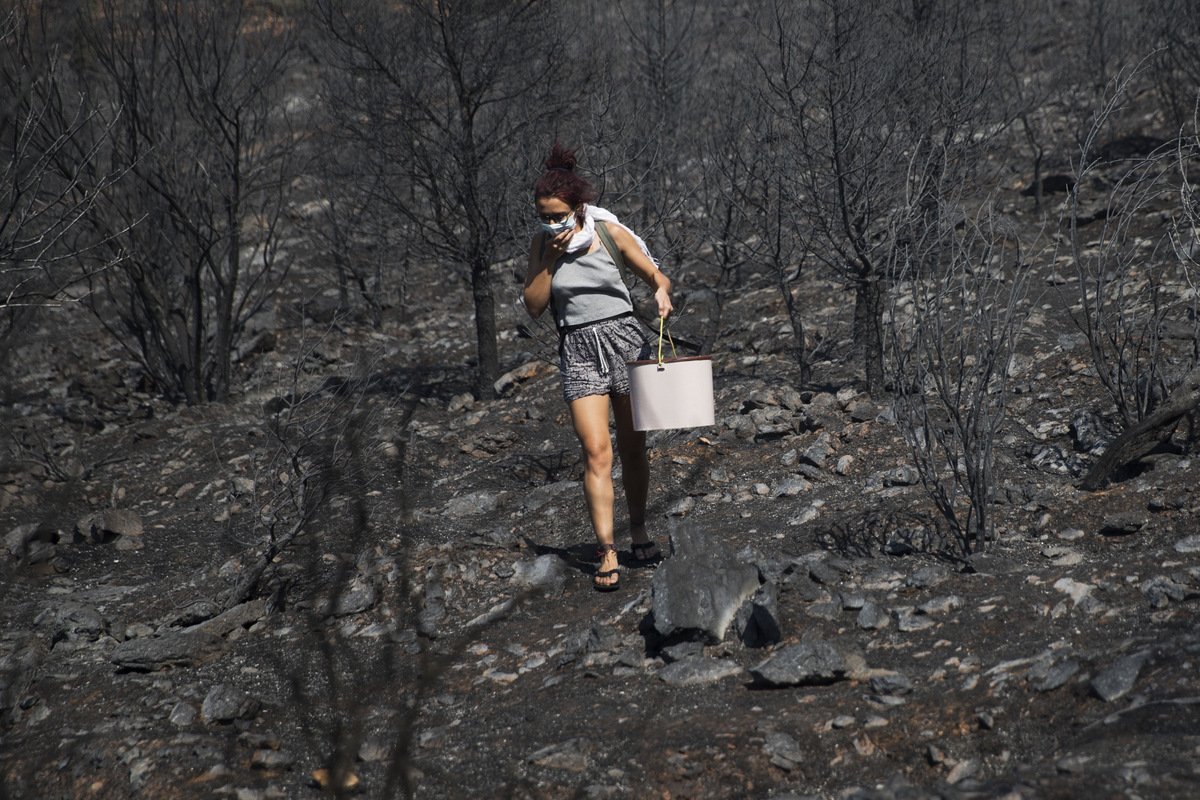 A woman with a bucket walks among burnt forest land during a wildfire near the suburb of Kaisariani in eastern Athens, on, Aug. 10, 2017. (AP/Petros Giannakouris)