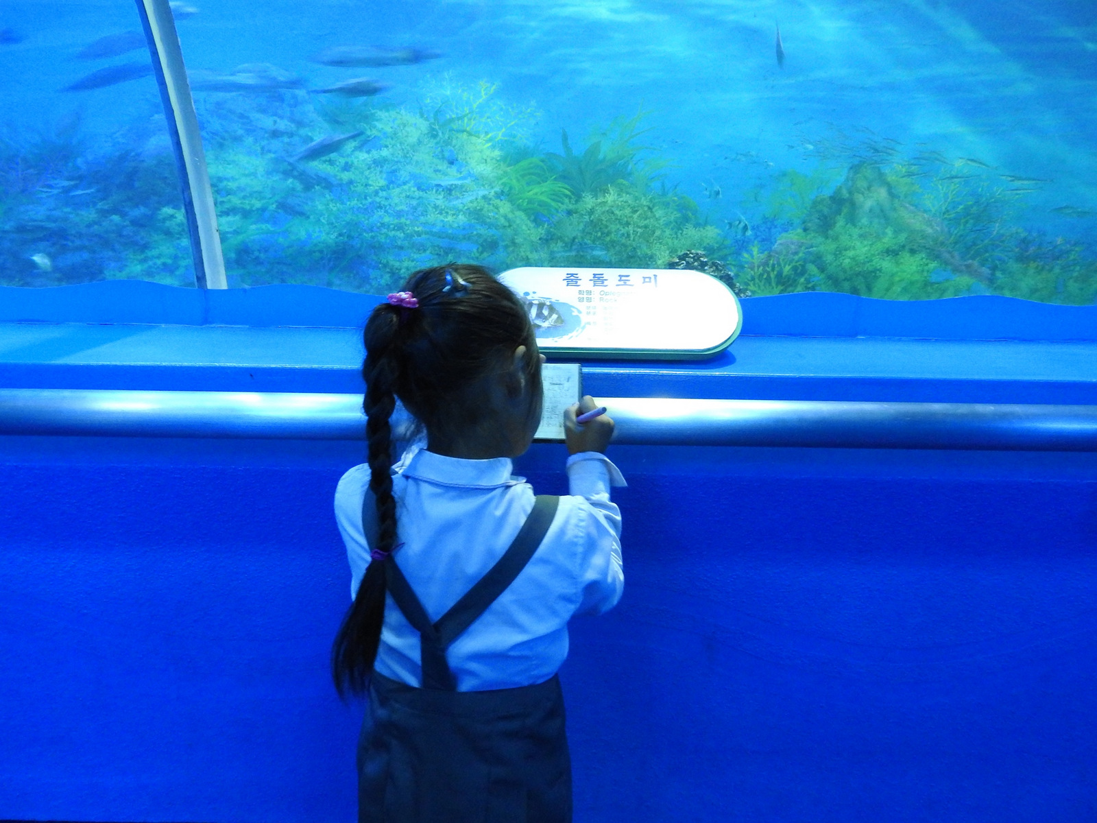 Student in the aquarium section of Pyongyang's zoo. While the zoo was well-maintained, by far most interesting was watching the human interactions, from schoolchildren to adults. Koreans returned our smiles with deep, genuine smiles.