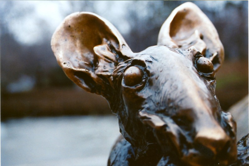 A closeup of the face of a rat statue.