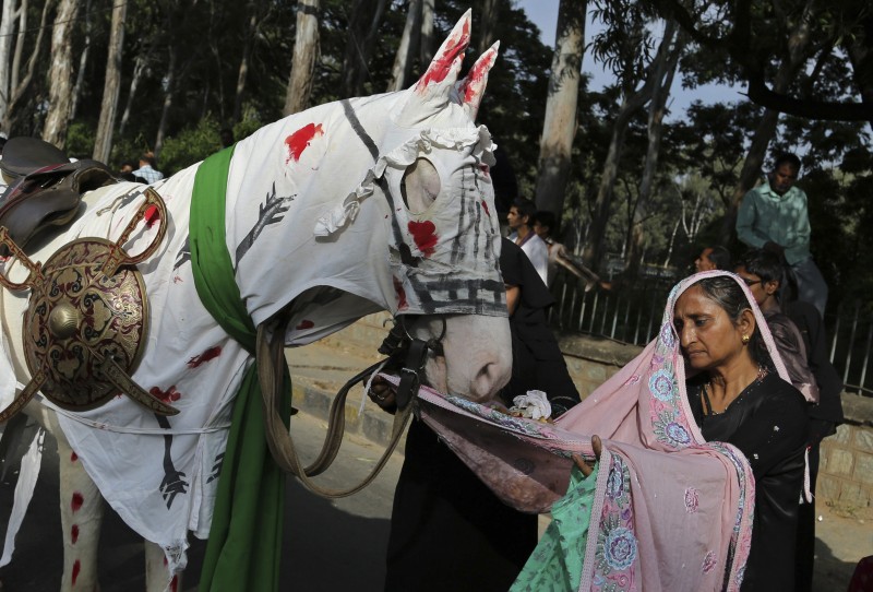 A woman in a hijab feeds a horse wearing armor and a costume covered in fake blood.