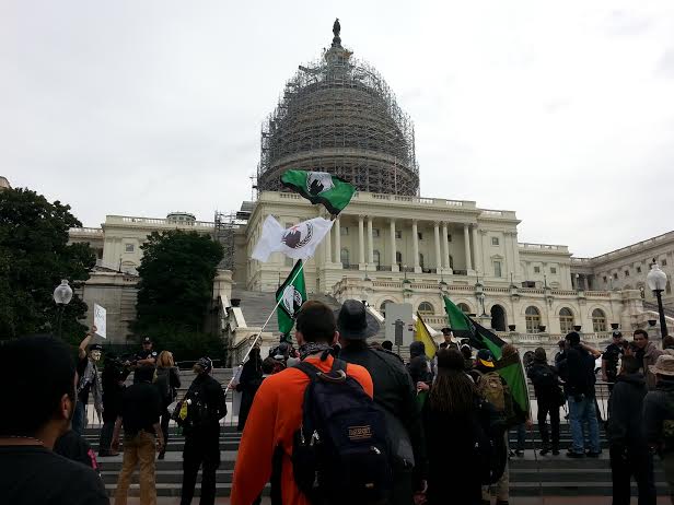 A crowd of activists takes the steps of the capitol, one holding a flag pole with the Anonymous flags on it in green and white.