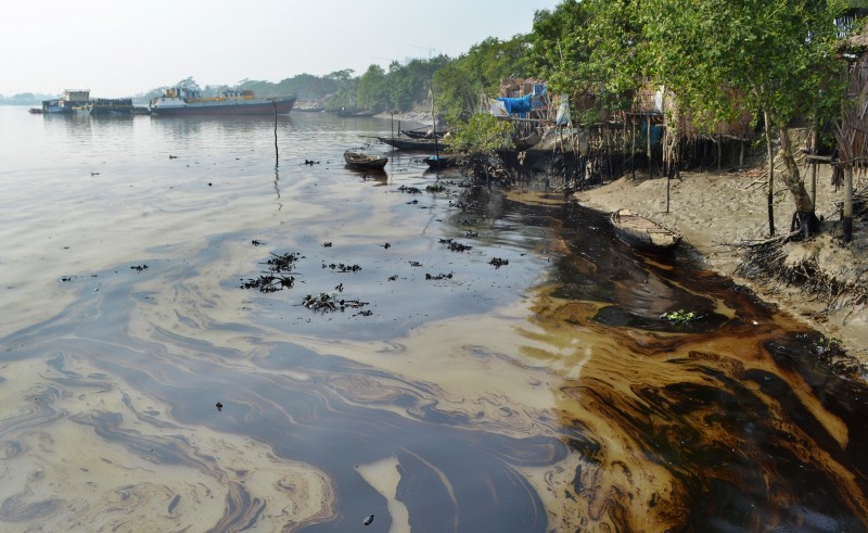 A sickly oil slick hangs on the water at the shoreline of a beach leading to a lush green forest.