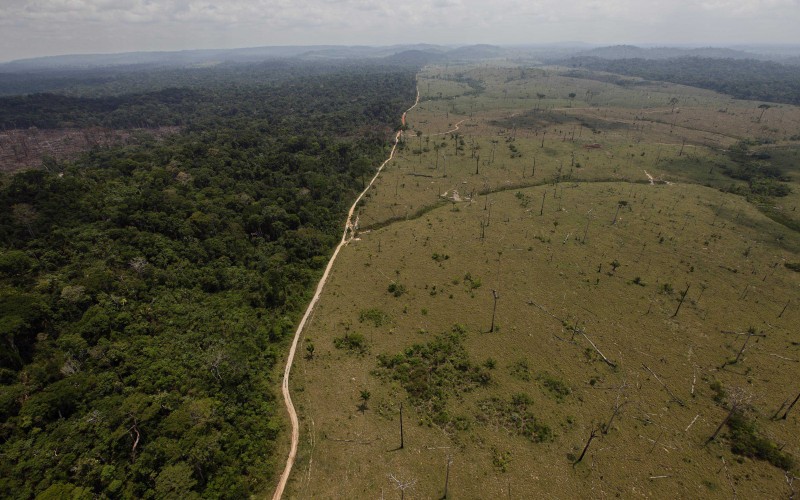 A road marks dividing the photo a stark contrast between a lush, green rainforest to its left and an almost completely deforested area to the right.