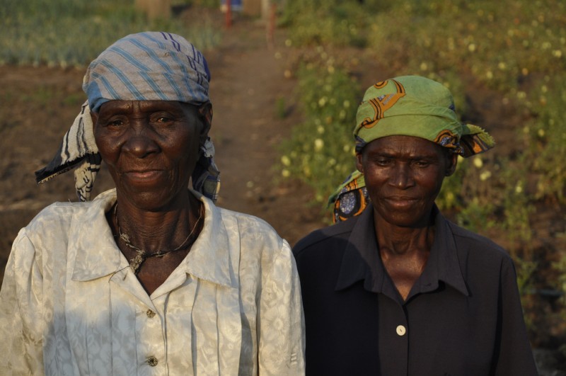 Two farmers wearing headscarves walk near a dirt road on a farm.
