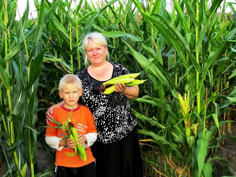 Standing in front of a towering cornfield, a woman holding an ear of corn stands with an arm around a young boy also holding an ear of corn.