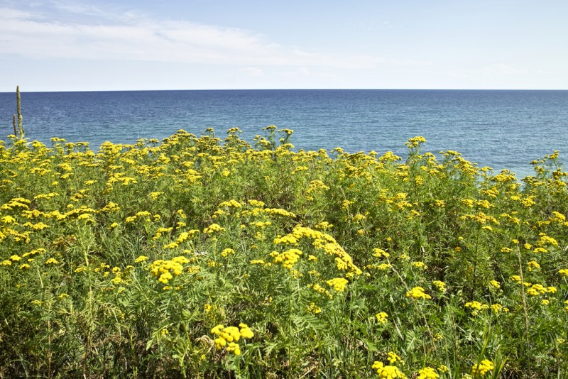 File: A photo of a hiking trail along the shores of Lake Ontario in Port Hope, Ontario, July 2010. According to Penny Sanger's book "Blind Faith," though the government didn't inform residents of radiation danger, it used waste dump sites to train soldiers on the dangers of nuclear waste (Flickr / Charles Crosbie).