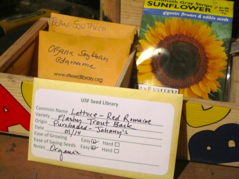 A collection of labelled seeds including sunflowers, lettuce, soybeans and beans.