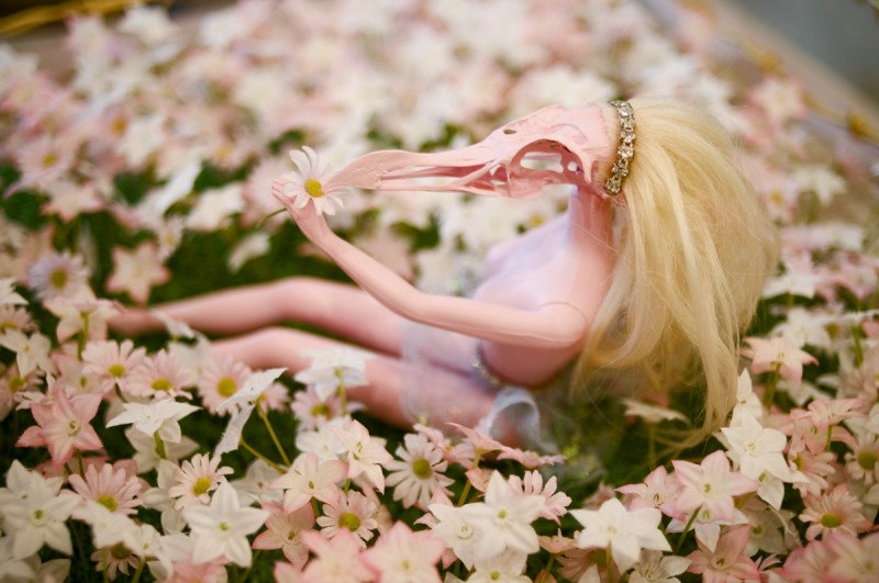 File: A Barbie-doll with a bird-skull for a face reclines among a field of flowers. What hides behind the mask of easy consumerism in modern American life? (Flickr / Daniel Hoherd)