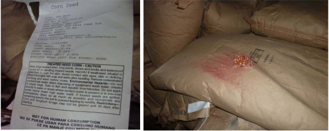 Chemically treated Monsanto seeds stored without proper safety precautions. (US Government photo)