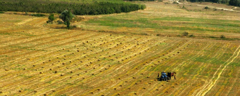A tractor moves across a hayfield covered in haybales on a farm in Ukraine's Crimea region, August 29, 2008. The Ukraine is renowned for its fertile "black earth," leaving the multinational elite eager to take its land. (Flickr / Bossi)