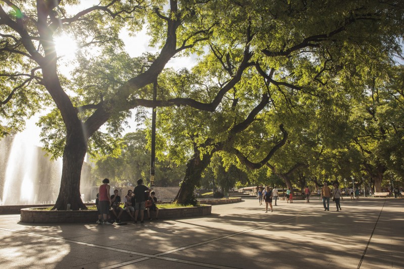 People gather in early evening around trees in Mendoza, Argentina's Plaza Indepencia. Scientists now believe just the sight of trees in an urban environment can have a beneficial effect on human health. (Flickr / Chris Ford)