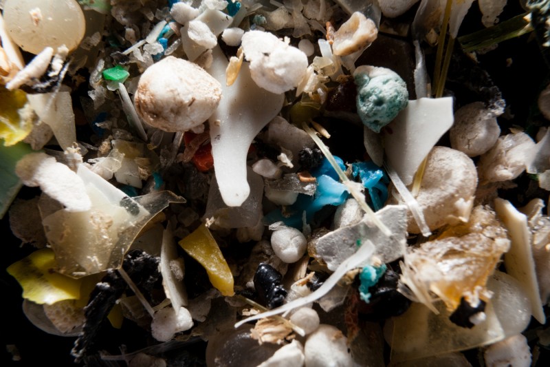 Tiny plastic fragments are seen in a close-up photo of "microplastics" collected from the Chesapeake Bay. (Flickr / Chesapeake Bay Program)