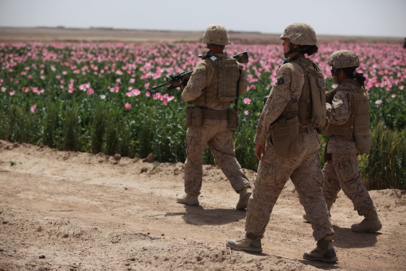 U.S. Marines assigned to the female engagement team (FET) of I Marine Expeditionary Force (Forward) conduct a patrol alongside a poppy field while visiting Afghan settlements in Boldak, Afghanistan, April 5, 2010. (U.S. Marine Corps / Cpl. Lindsay L. Sayres)