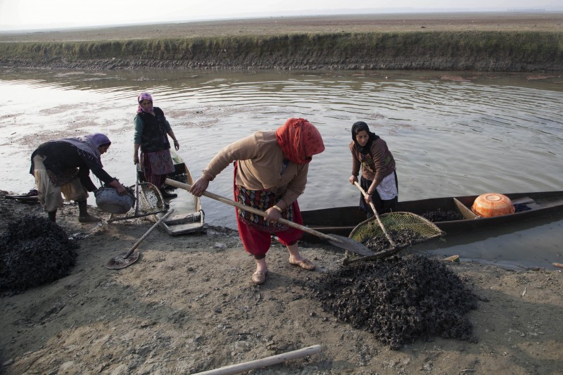 In this Dec. 1, 2015, photo, Kashmiri women clean water chestnuts collected over the marshy water of Wular Lake at a canal in Kulhama, northeast of Srinagar, Indian controlled Kashmir. Spiky, triangular water chestnuts have long been a major crop for those living near Wular, one of Asias largest freshwater bodies and the largest of the lakes in India-controlled Kashmir. (AP Photo/Dar Yasin)