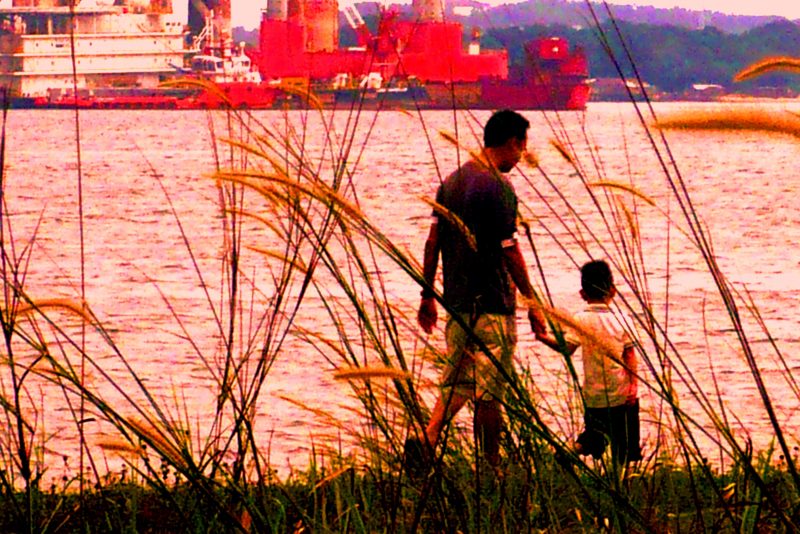 A father and son walk along the shore of a harbor. (Flickr / Steven Sim)