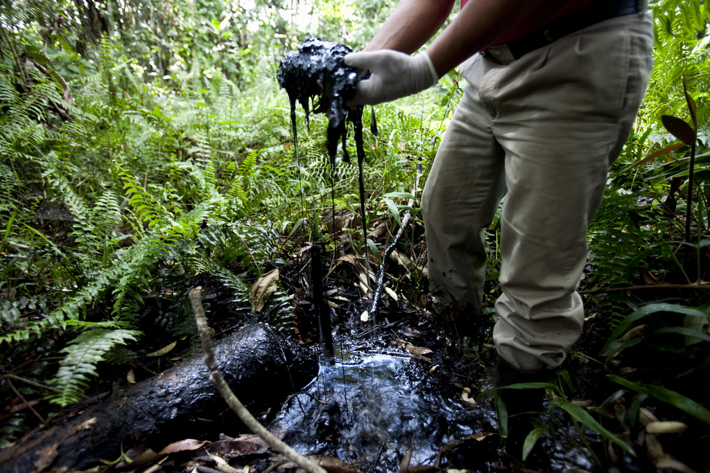 Chevron in the Amazon