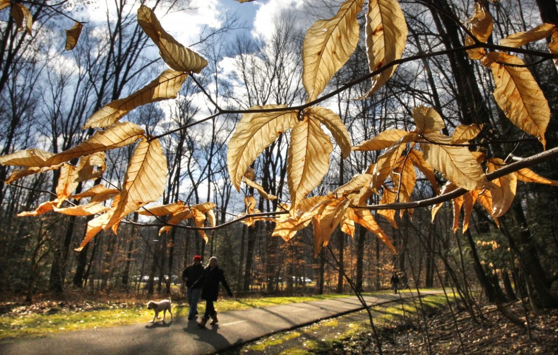 FILE - In this Feb. 5, 2012 file photo, people walk in the South Chagrin Reservation Metropark on a sunny and mild afternoon in Bentleyville, Ohio. A new poll shows Americans' belief in global warming is on the rise, along with temperatures and surprising weather changes. The survey by the University of Michigan and Muhlenberg College says 62 percent of those asked last December think the Earth is getting warmer. That's an increase from 55 percent in the spring of that year. It's the highest percentage in two years. (AP Photo/Amy Sancetta, File)