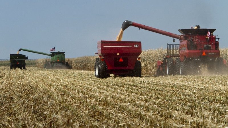 Study: Farm Sludge Contaminates Soil With Drugs, Other Chemicals