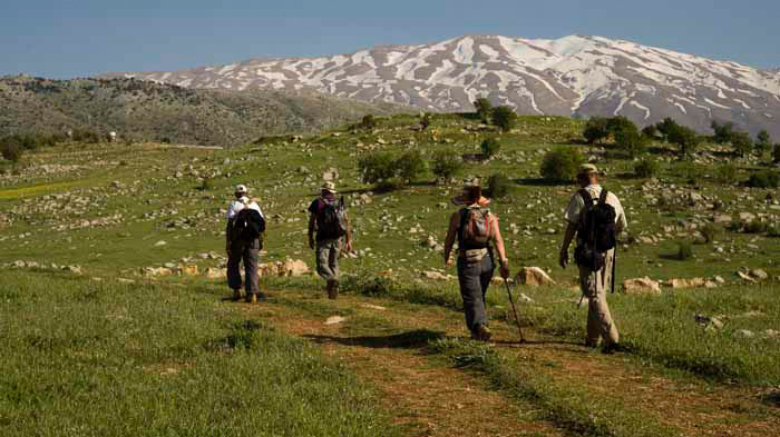 Smelling The Breezes 50 Years On