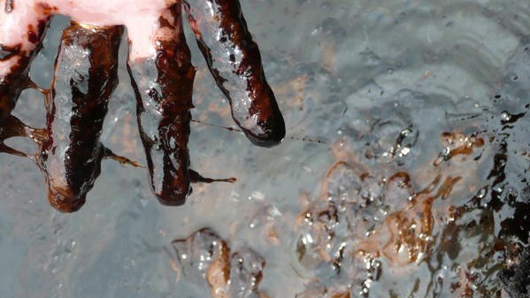 Embassy Cables Reveal Western Complicity In Nigerian Oil Conflicts