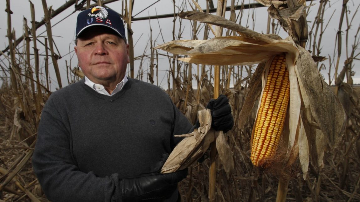 Hidden House Bill Provisions Give Favor To GMO Producers