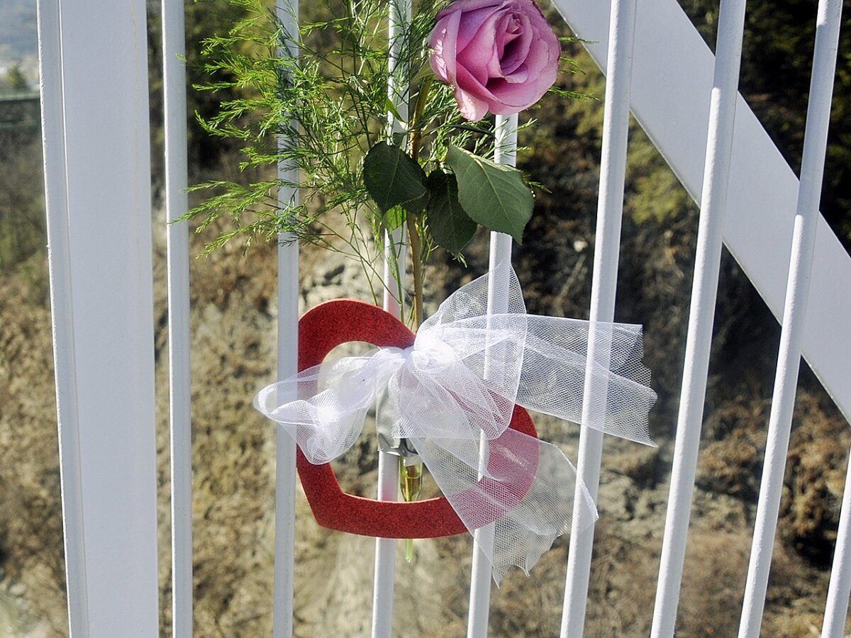 A rose commemorates the place on Cornell University's Suspension Pedestrian bridge where Junior Matthew Zika, 21, of Lafayette, Ind., is believed to have fallen from, Friday, March 12, 2010, into the Fall Creek Gorge seen below. (AP Photo/Heather Ainsworth)