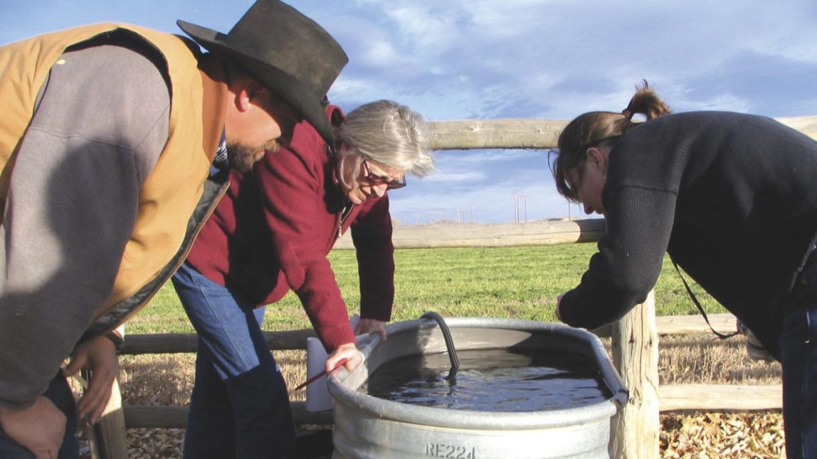 In a Nov. 8, 2007 file photo, John Fenton and others examine neighbor Louis Meeks' water in Pavillion, Wyo., where federal officials indicated people shouldn't drink water from 40 wells in and around this central Wyoming farming and ranching community. (AP Photo/Casper Star-Tribune, Dustin Bleizeffer, File)