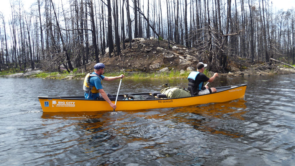 Paddling past trees that were caught up in the fire. (Photo Norbert Schiller/MintPress)