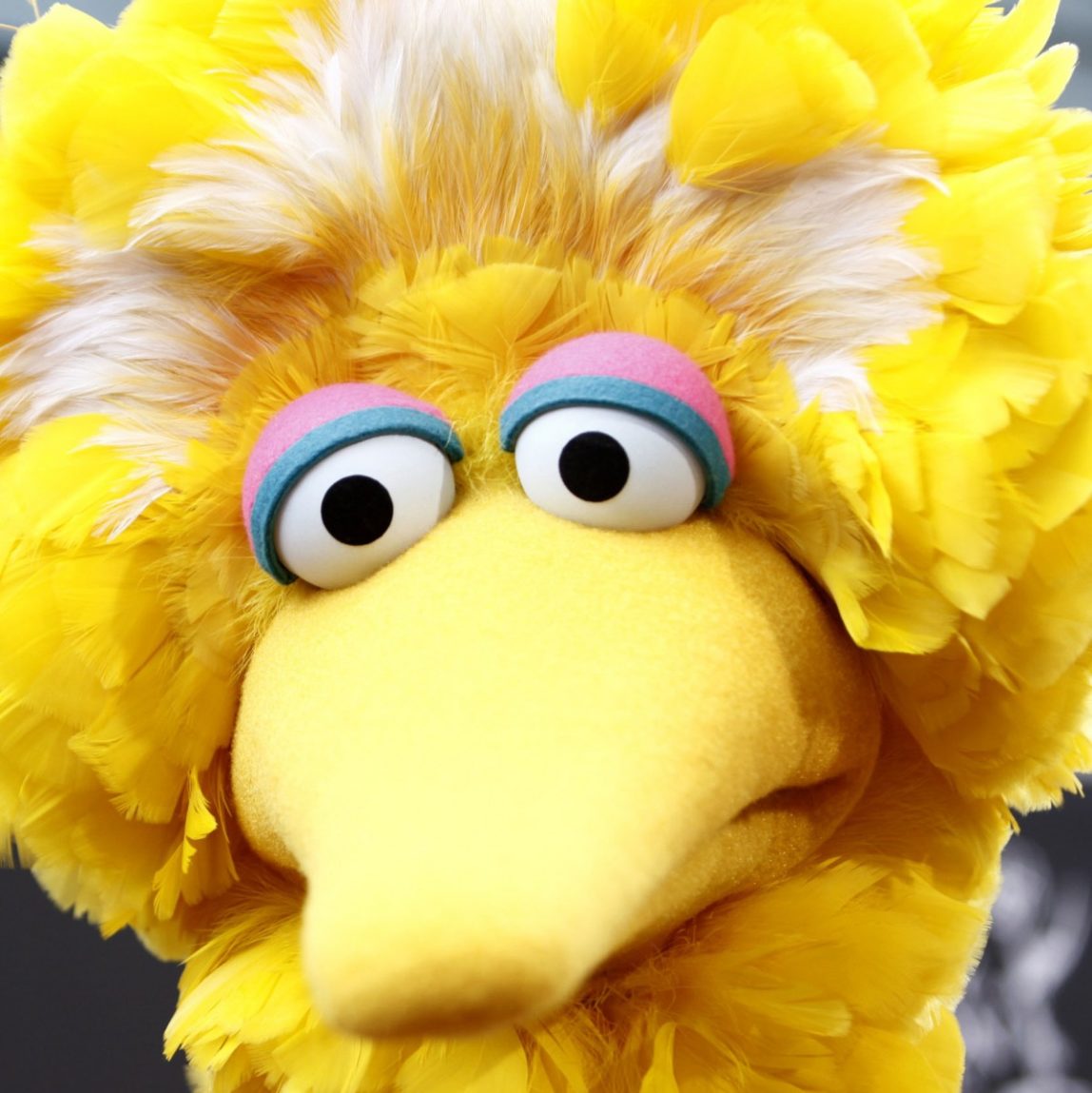 This Aug. 30, 2009 file photo shows Big Bird, of the children's television show Sesame Street, in Los Angeles. (AP Photo/Matt Sayles, File)