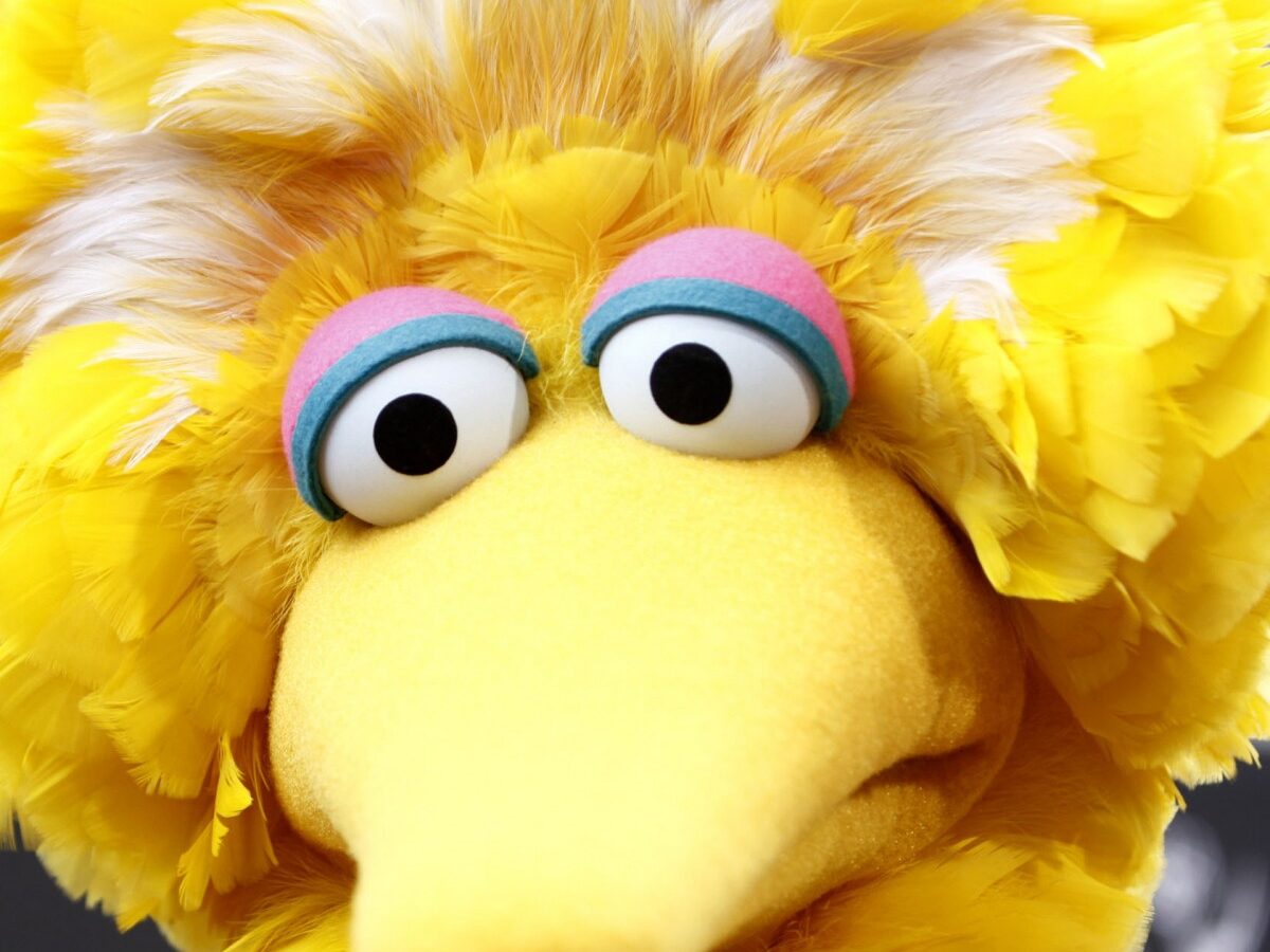 This Aug. 30, 2009 file photo shows Big Bird, of the children's television show Sesame Street, in Los Angeles. (AP Photo/Matt Sayles, File)