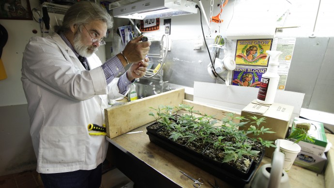 Jake Dimmock, co-owner of the Northwest Patient Resource Center medical marijuana dispensary, works on balancing the pH level of the soil used to grow new medical marijuana plants, Wednesday, Nov. 7, 2012, in Seattle. (AP Photo/Ted S. Warren)