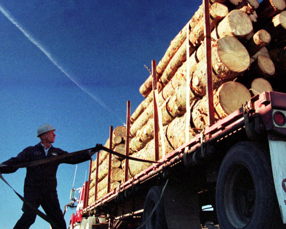 Canadian truck driver Onil Belanger prepares to unload Maine logs at a mill in St. Pamphile, Quebec, Canada, in this November 1998 file photo. (AP Photo/Robert F. Bukaty, files)