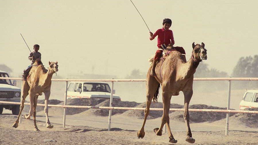 Child camel jockeys from the Indian sub-continent racing camels on a 6-km desert course near Dubai in October 1987. (Photo by Norbert Schiller)