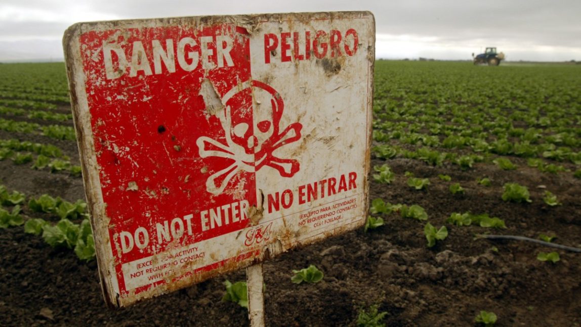 A "Do Not Enter" sign marks a field of head cabbage during the spraying of pesticides near Chualar, Calif., Monday, Sept. 16, 2002. (AP Photo/Mike Fiala)