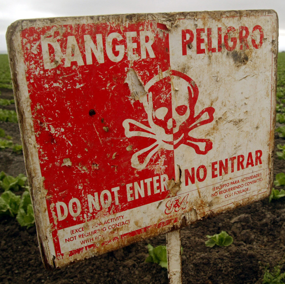 A "Do Not Enter" sign marks a field of head cabbage during the spraying of pesticides near Chualar, Calif., Monday, Sept. 16, 2002. (AP Photo/Mike Fiala)