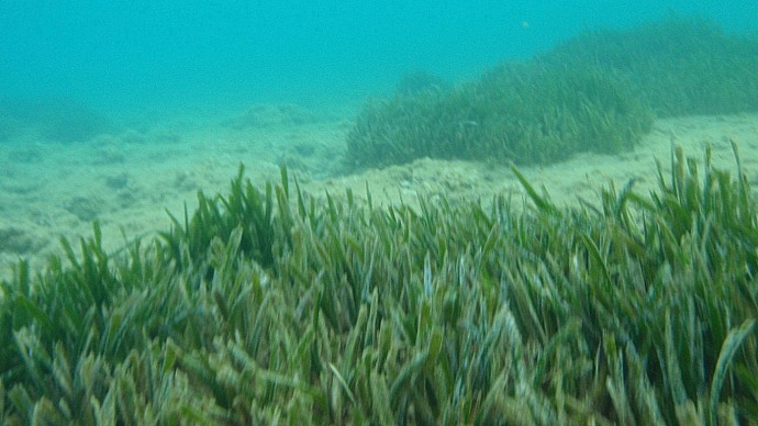 While the idea of mining for minerals on the ocean floor has been discussed before, technological developments have now made it feasible to undertake such deep-sea mining on an extensive scale. (Photo/dimsis via Flickr)