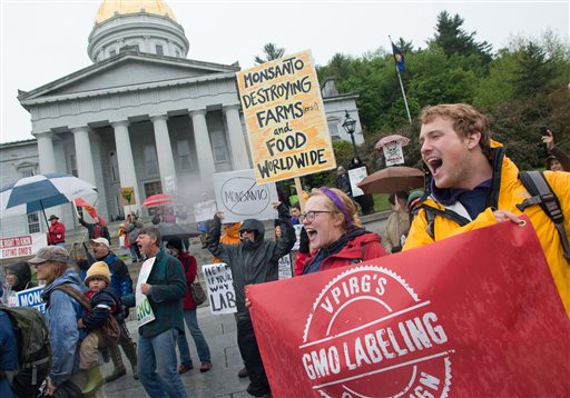 People chant and carry signs during a protest against Monsanto in front of the capitol building in Montpelier, Vt. on Saturday, May 25, 2013. (AP Photo/Mark Collier)