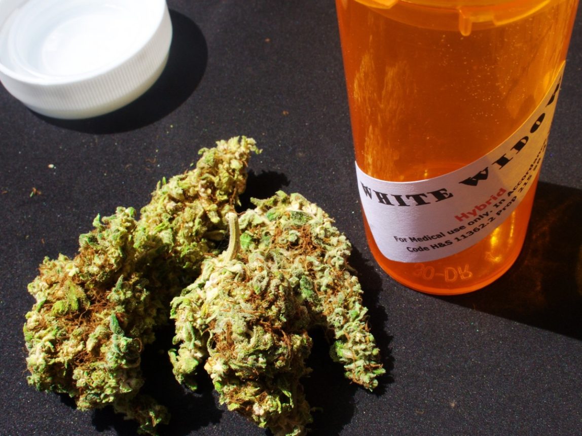 More Than 600 New York Doctors Endorse State Medical Marijuana Legalization