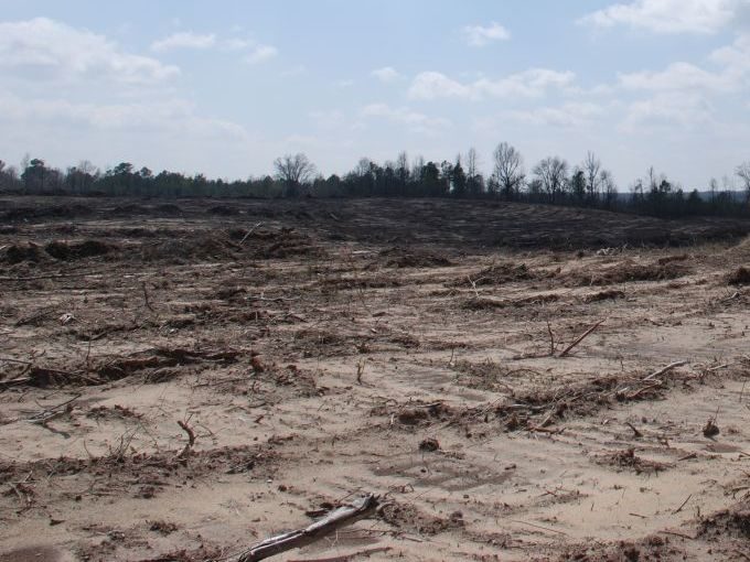 Feds’ Solution To California Forest Fires: Chainsaws And Herbicide?