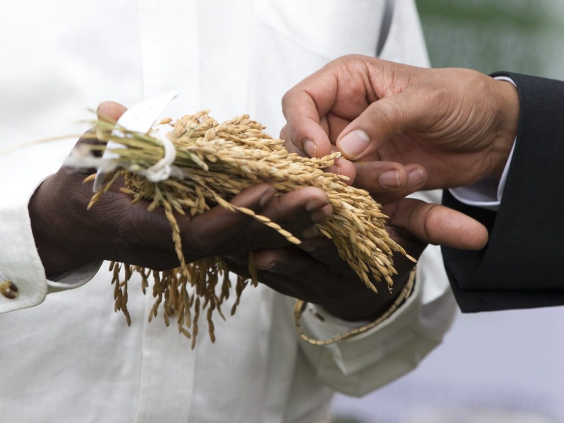 奥巴马消除非洲饥饿的计划实际上是农业产业化的计划