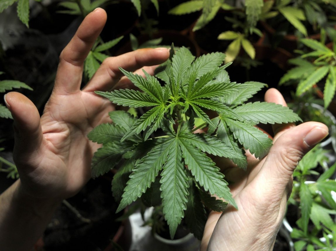 Uruguay Takes Step Toward Full Pot Legalization