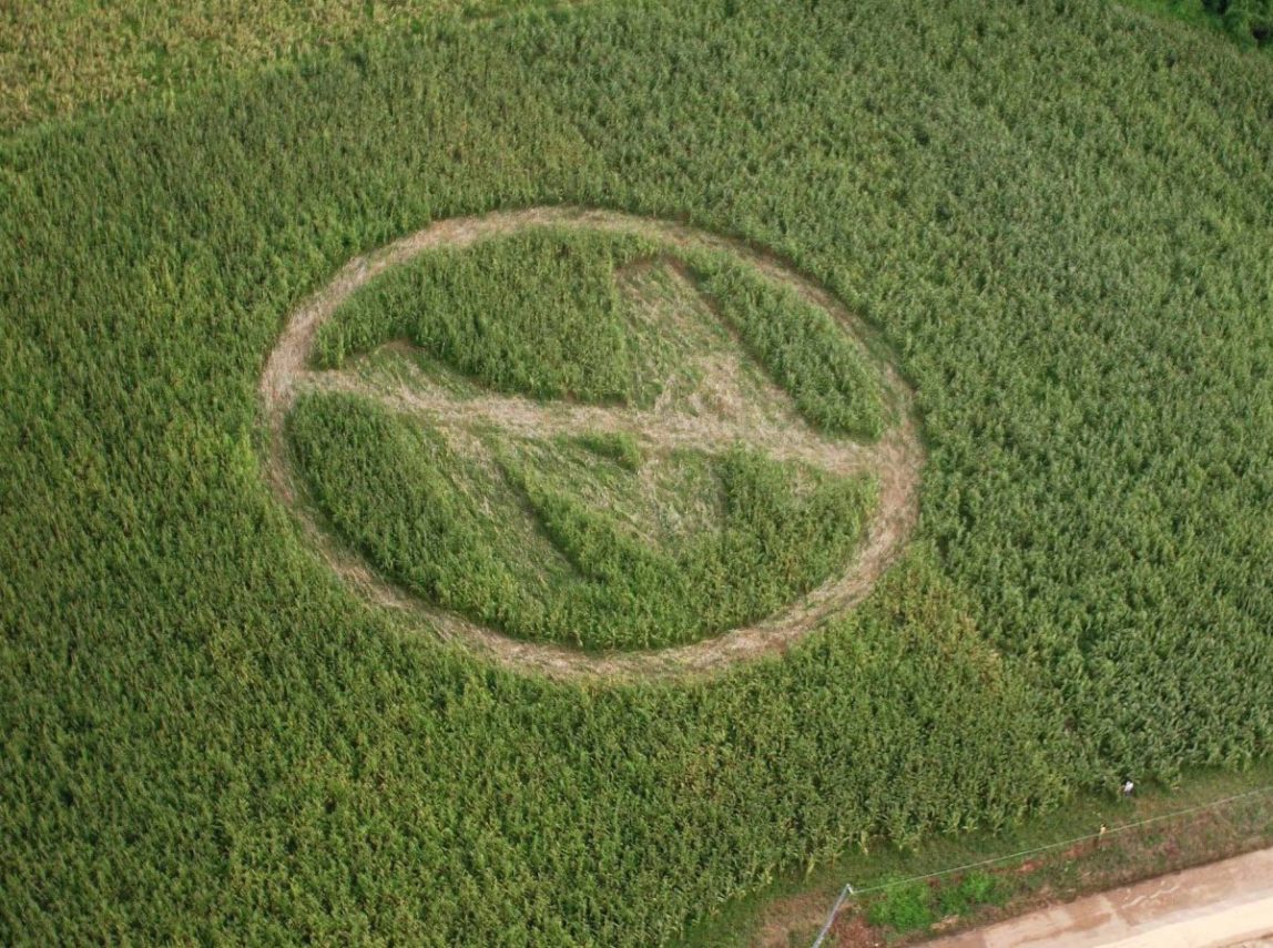 An aerial view of a crop circle made by local farmers in Isabela province, 300 km northeast of Manila (AP Photo/Greenpeace)