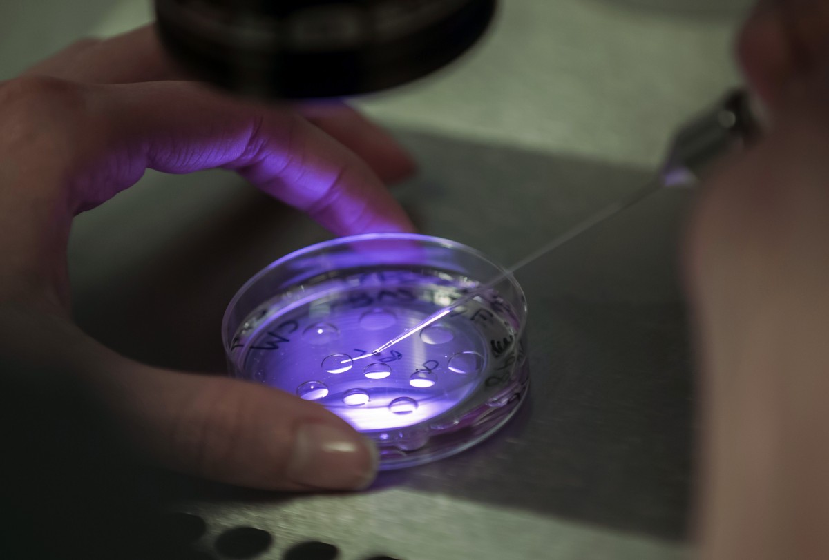 Testtube babies A cheaper technique for developing nations?