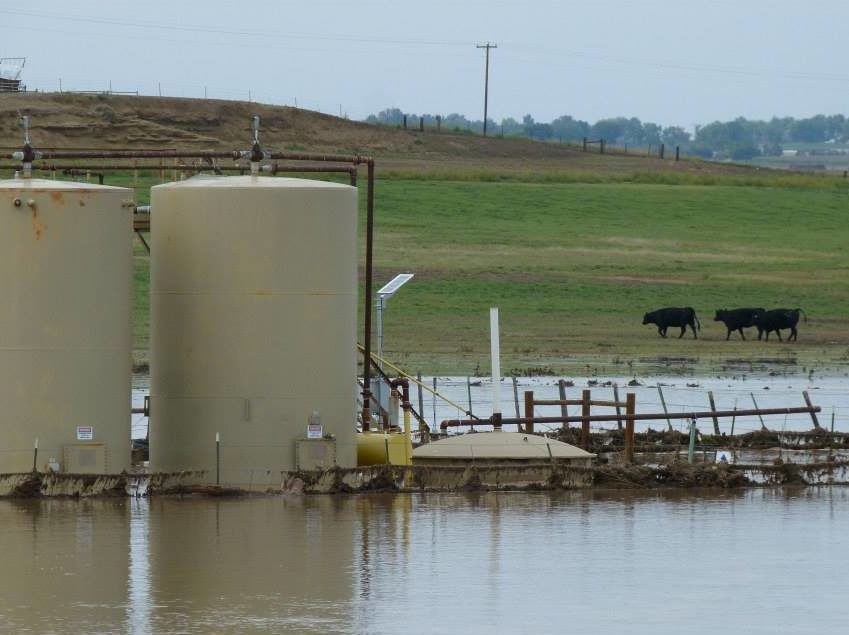 Livestock Falling Ill In Fracking Regions