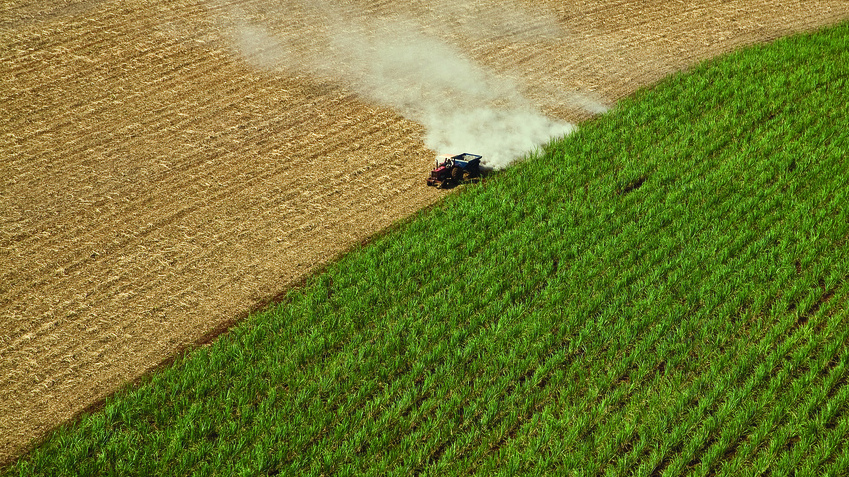 A sugarcane field in Brazil. (Photo/Sweeter Alternative via Flickr)