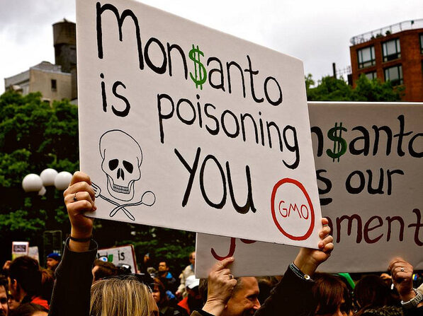 Democracy Loses Out As Big Money Overwhelms Grassroots Campaigns