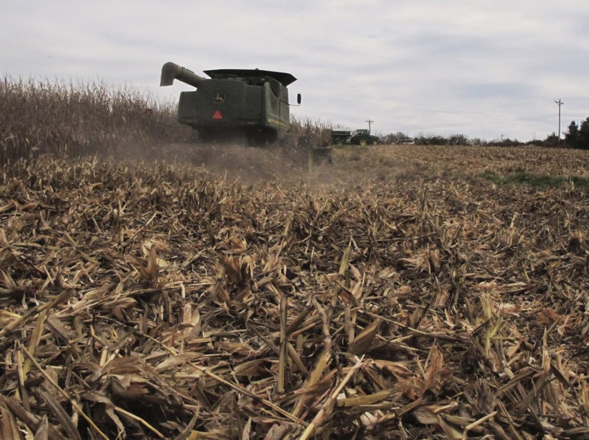 Ethanol: Clean Energy Or The Source Of New Environmental Concerns?