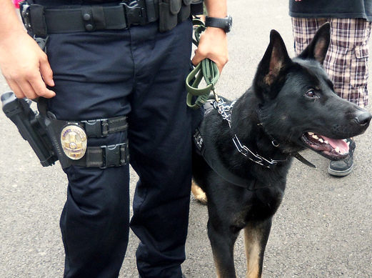 ND Supreme Court Backs Warrantless Searches By Drug-Sniffing Dogs